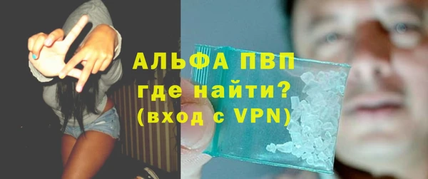 стафф Алексин