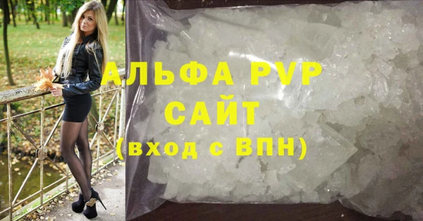 стафф Алексин