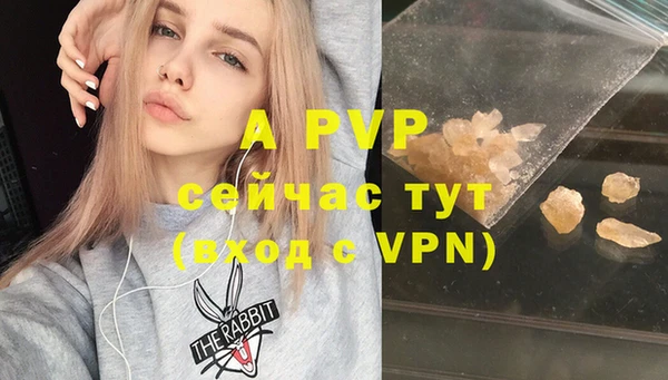 стафф Алексин