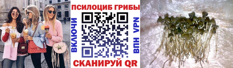 Псилоцибиновые грибы прущие грибы  Карпинск 